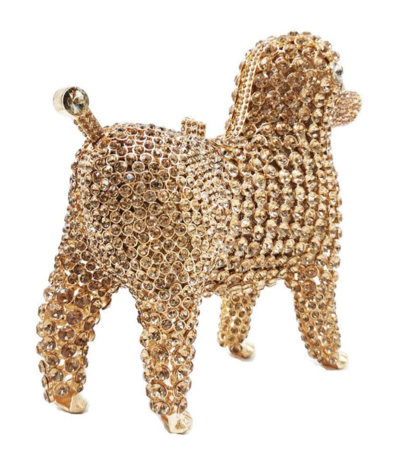 RICH POODLE (Pre-Order)