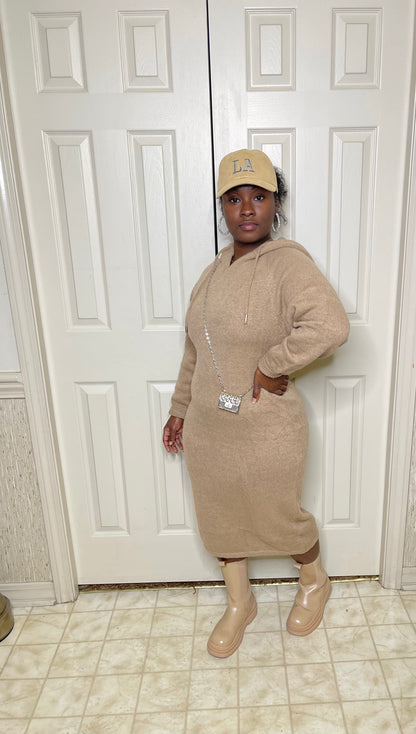 Teddy Sweater Dress