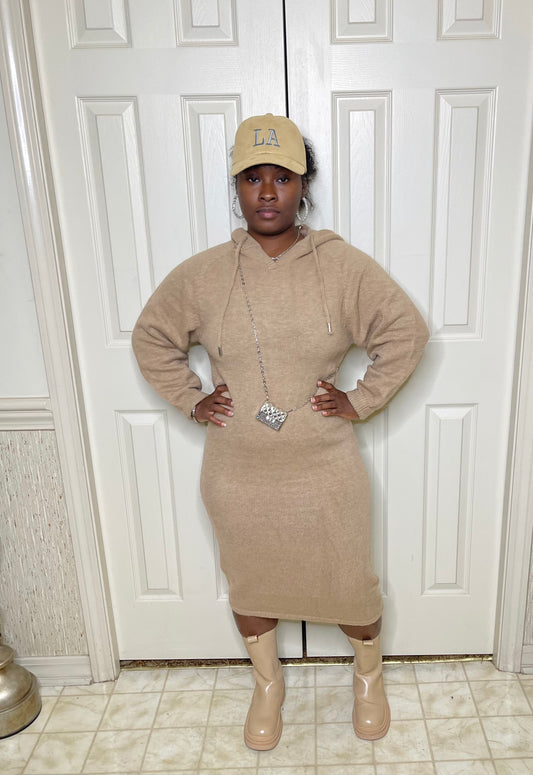 Teddy Sweater Dress